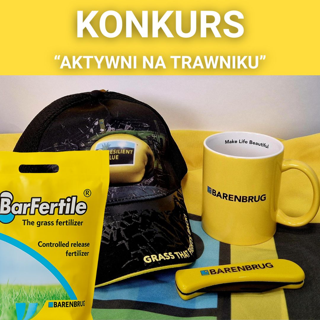 konkurs.jpg