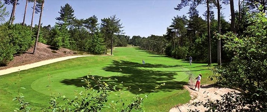 Bar Fescue Plus.jpg