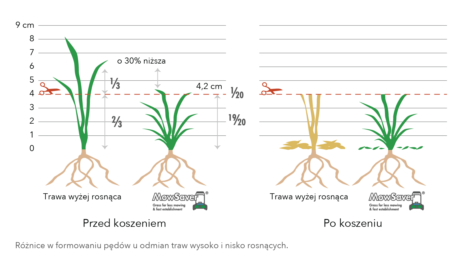 Wykresy-08.jpg