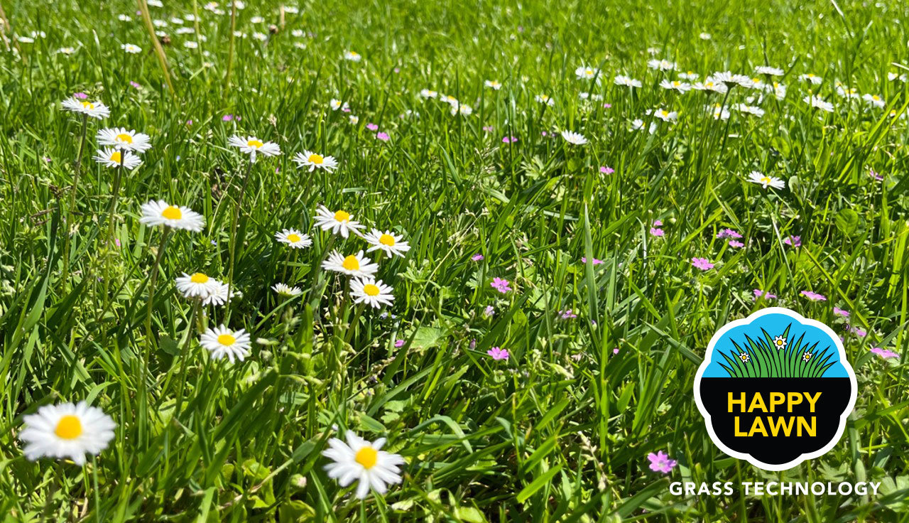 Image-Happy-Lawn-01.jpg