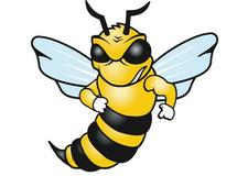 YellowJacket_logo.jpg